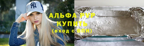 молекула духа Осташков
