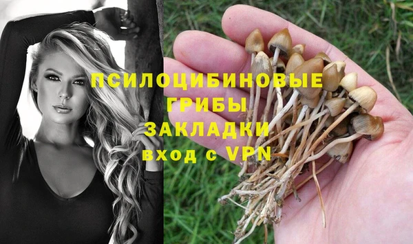 прущий лед Няндома