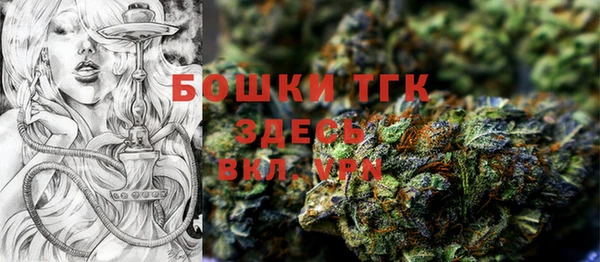 молекула духа Осташков
