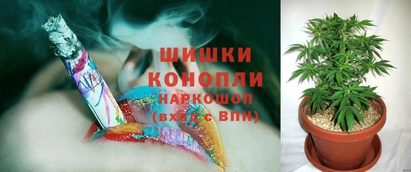молекула духа Осташков