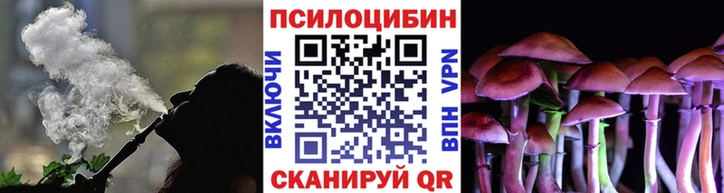 цена наркотик Тайга MEGA tor Галлюциногенные грибы Psilocybine cubensis
